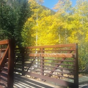 Meet your Posher, Adrienne